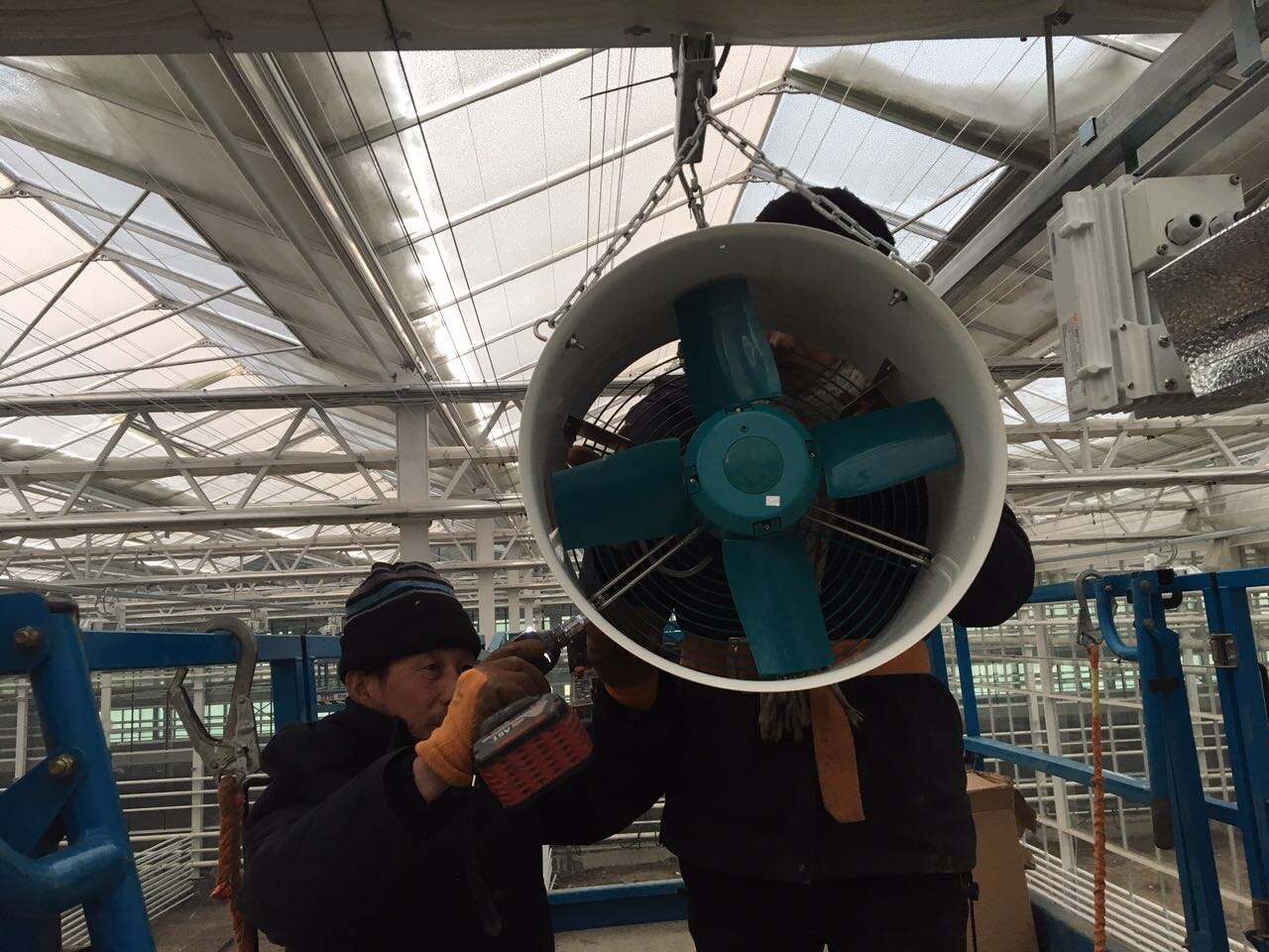 Where to Buy High-Quality Greenhouse Solar Ventilation Fans Wholesale?
