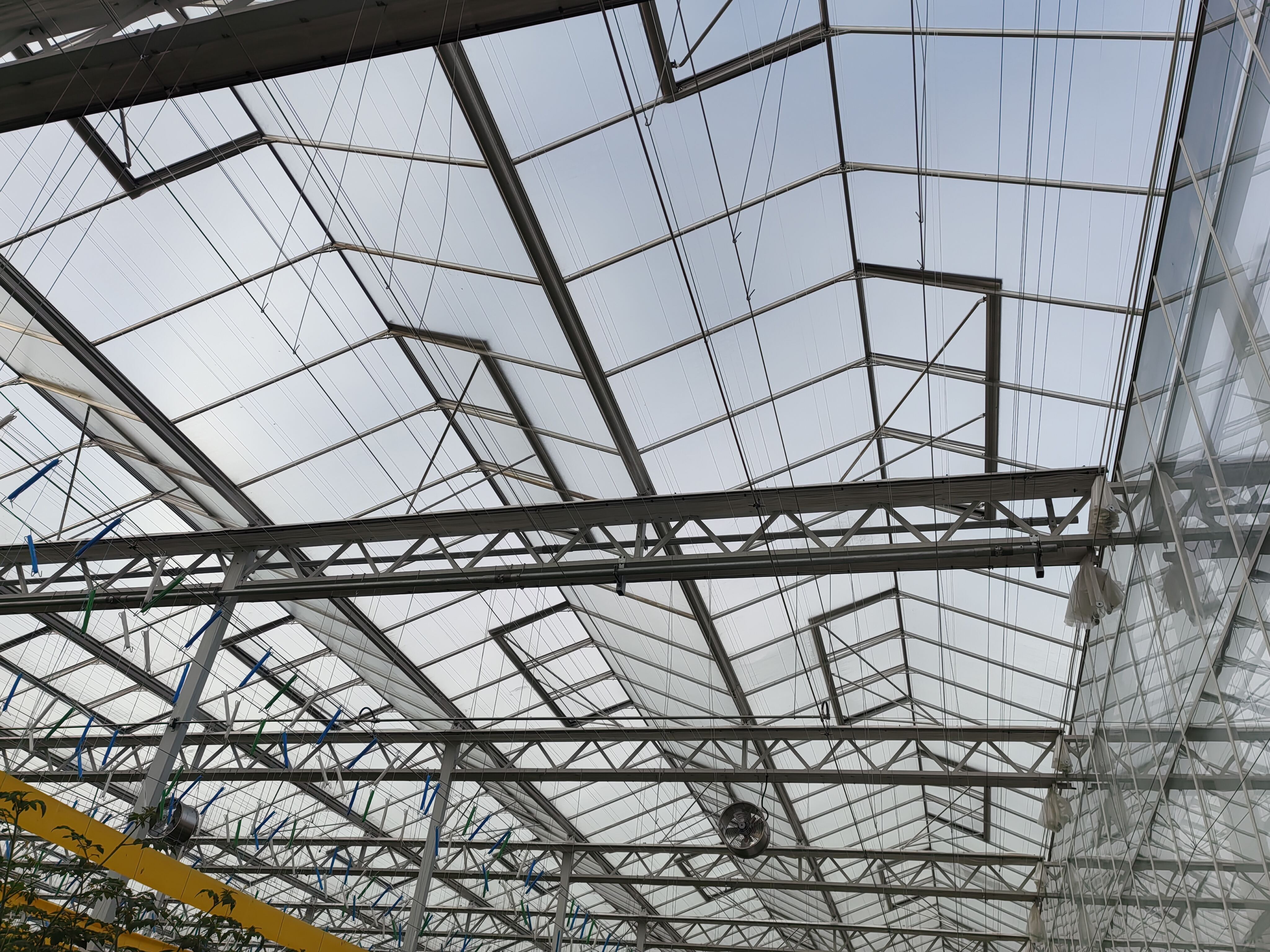 What are the Top Features to Look for in Small Greenhouse Ventilation?