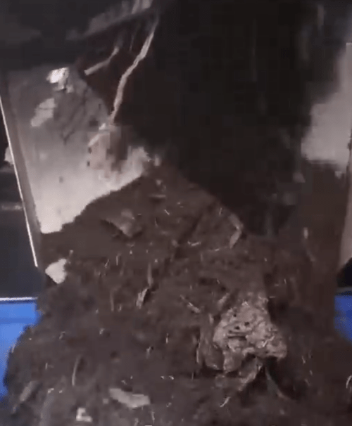 Composting Biodegradable Trays