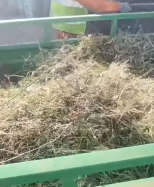 Greening plant waste fermented organic fertilizer