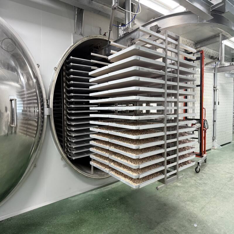 High-Efficiency Vacuum System