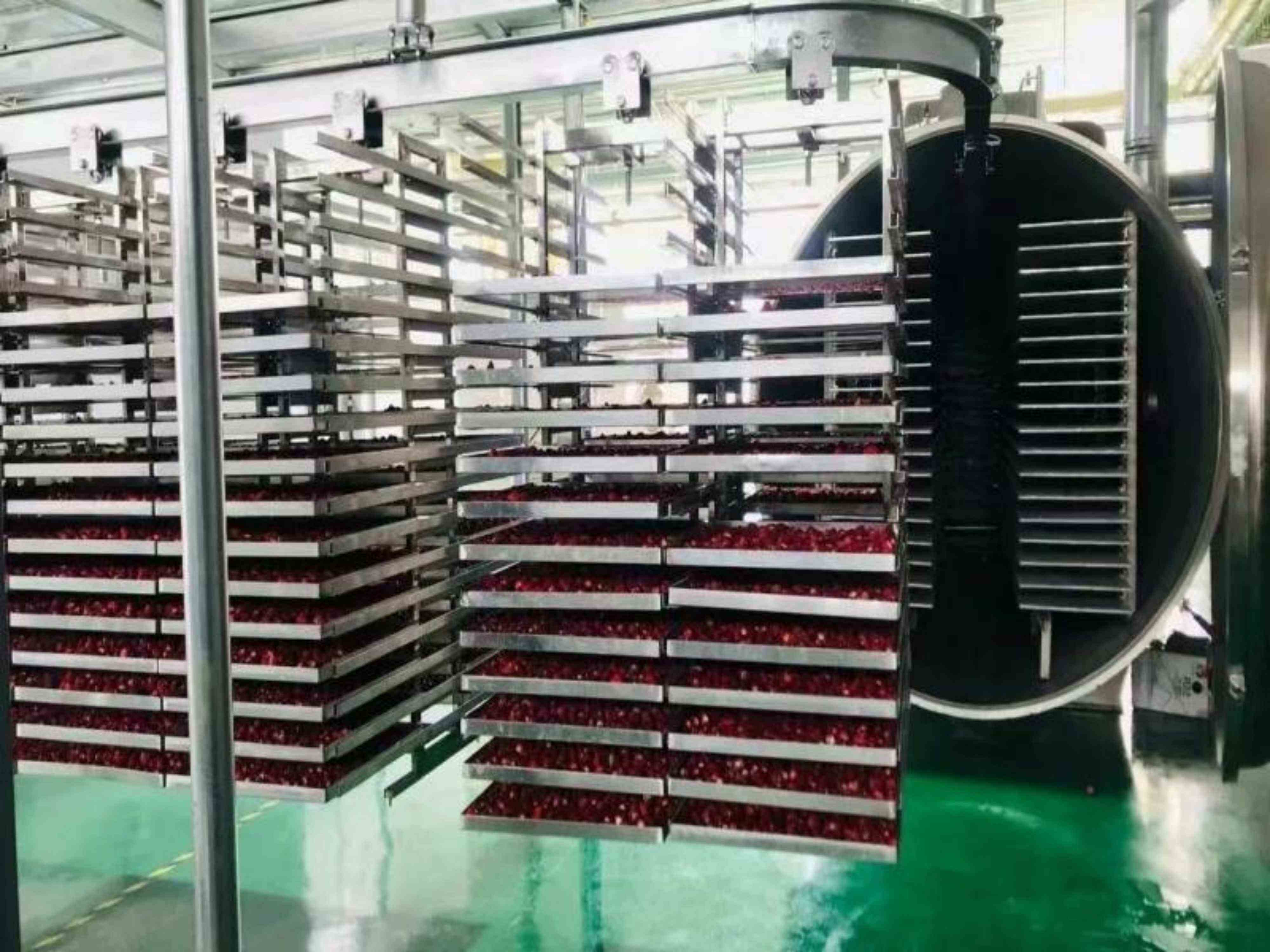 ¡Impulsando la fabricación inteligente de belleza! Línea de producción de liofilización al vacío para mascarillas de Zhucheng INNOTECH Machinery se instala en Qingdao