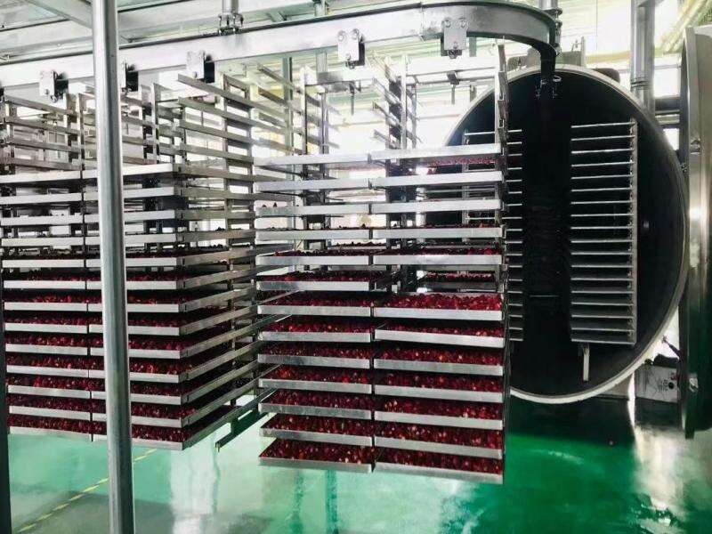 Empowering Beauty Intelligent Manufacturing! Zhucheng INNOTECH Machinery's Vacuum Freeze-Drying Production Line for Masks Settles in Qingdao​