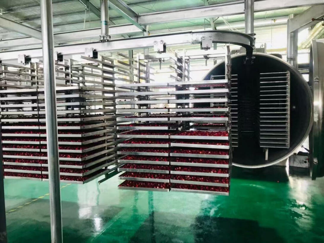 New Breakthroughs In Global Layout - Yinuo Machinery Empowers Regional Food Processing Industry Upgrades