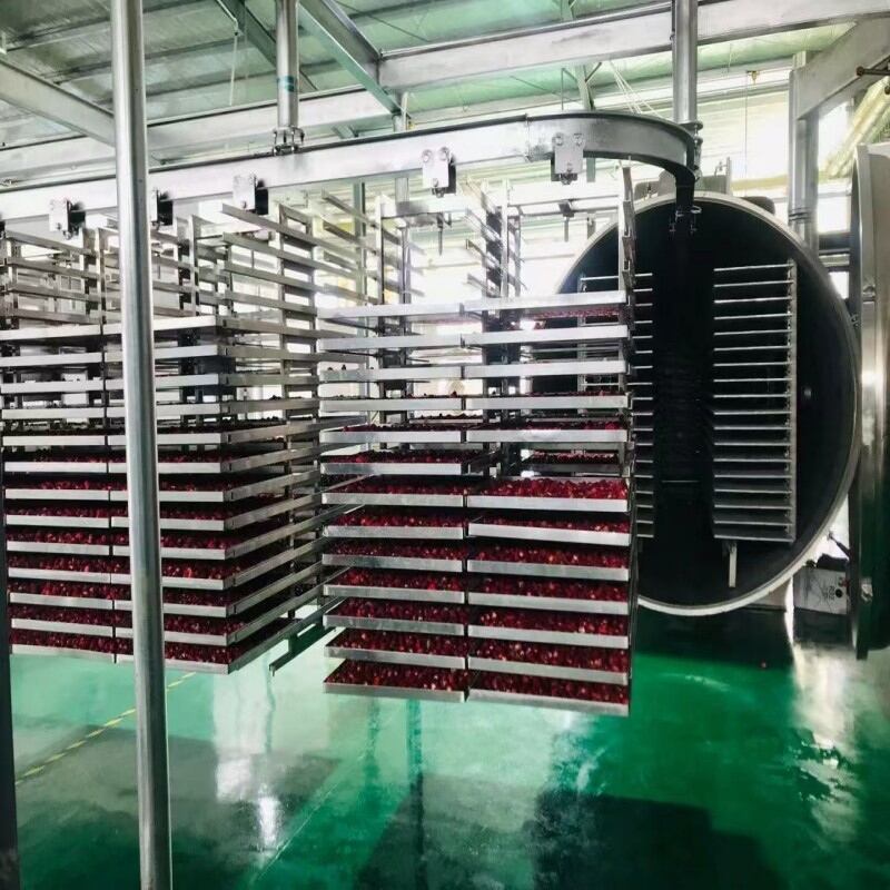 Empowering Beauty Intelligent Manufacturing! Zhucheng INNOTECH Machinery's Vacuum Freeze-Drying Production Line for Masks Settles in Qingdao​-2