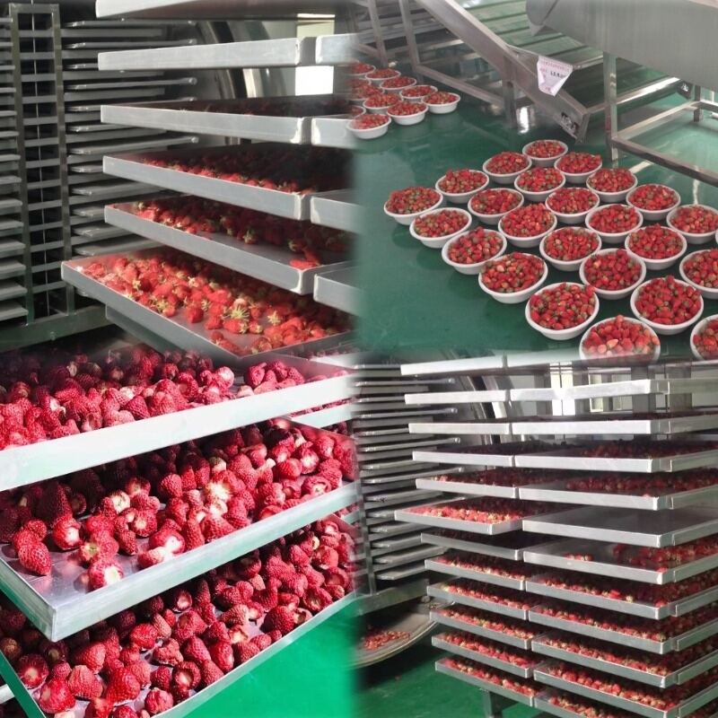 The AI Revolution in Food Tech: INNOTEH Launches Smart Freeze-Drying Ecosystem to Drive Industry 4.0 Transformation