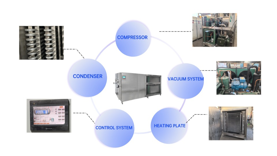 Intelligent Liquid Fruit Freeze Dryer - 20㎡ High-Efficiency 304 SS Food Equipment   factory