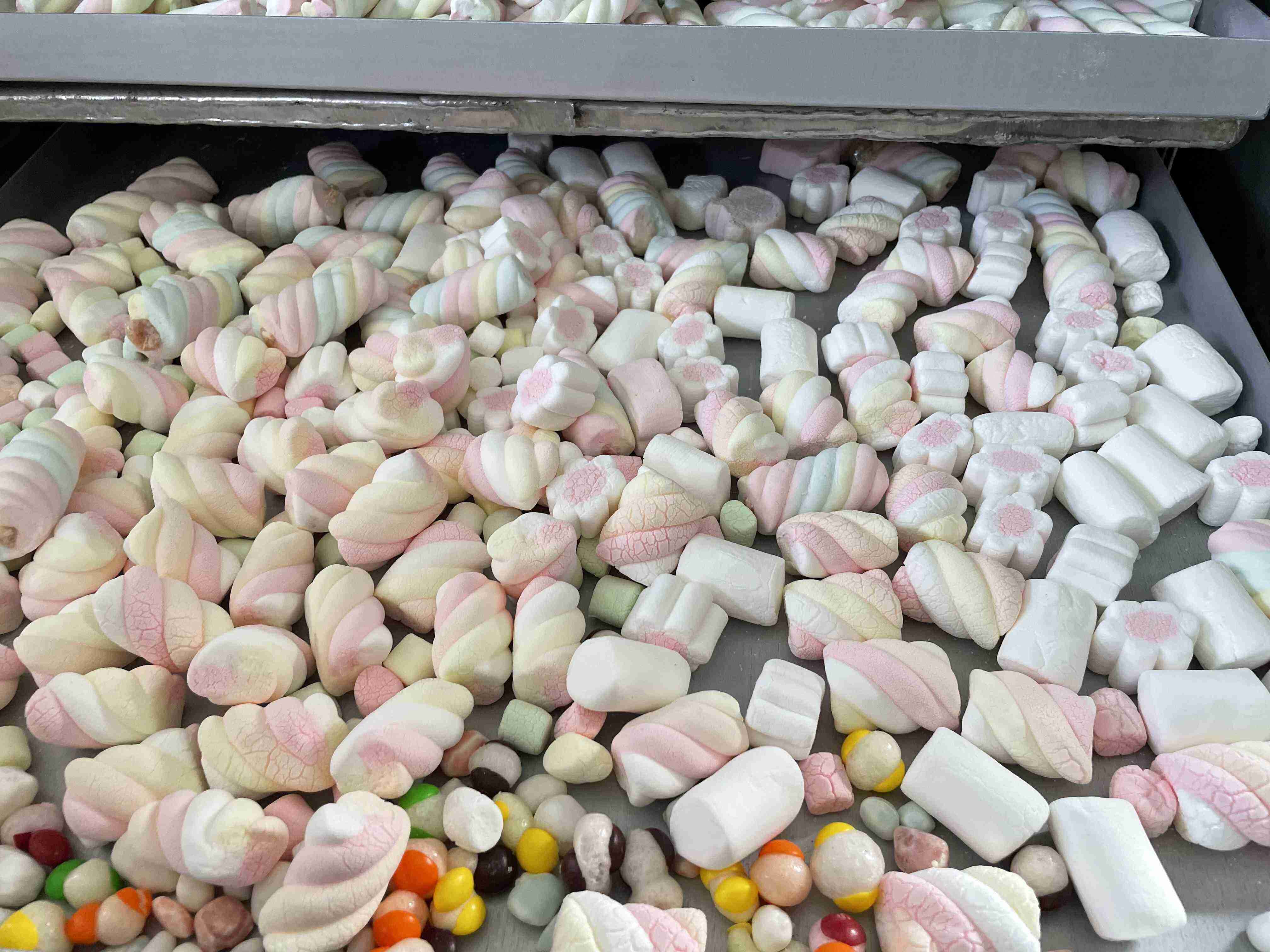 Breaking the Deadlock with Customized Equipment! Yinuo Food Machinery Helps Snack Brands Create Blockbusters of Freeze-Dried Marshmallows-1