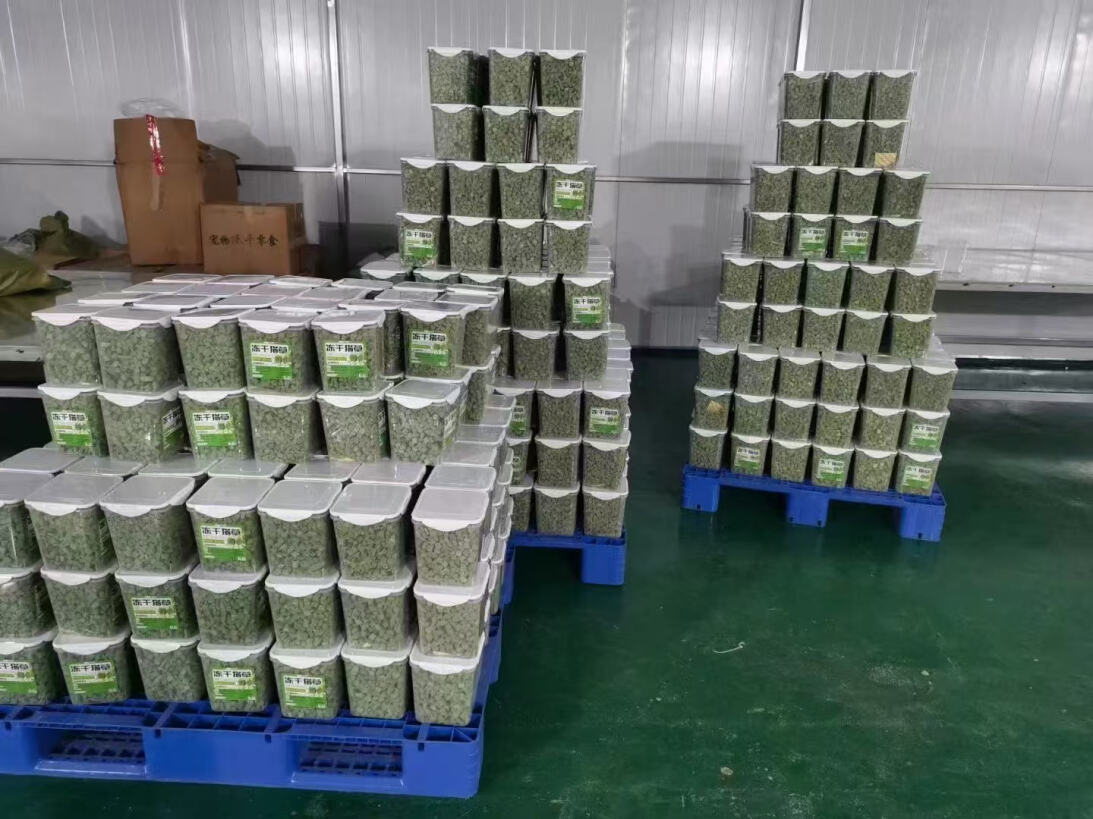 Yinuo Machinery YN-8 Series Vacuum Freeze Dryer Is On The Market, Reducing Energy Consumption By 30% To Help Food Processing Green Transformation