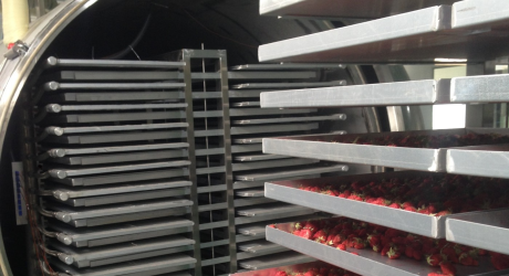 Strawberry Freeze-Drying Application Case