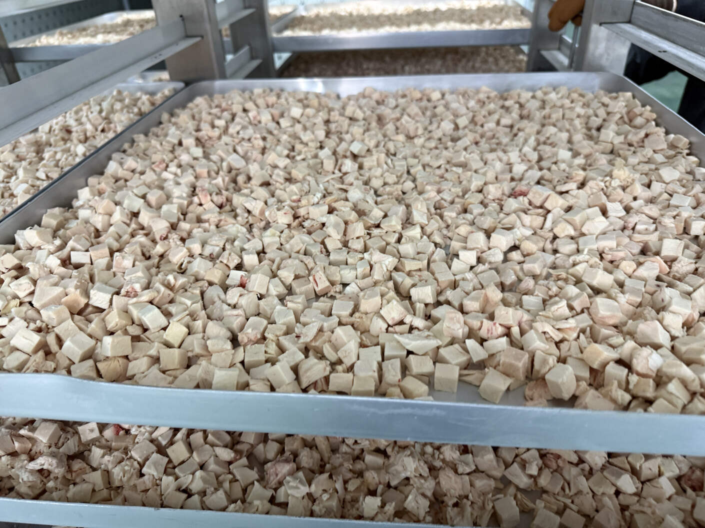 Case of INNOTECH Vacuum Freeze-Drying Equipment Assisting in Chicken Breast Freeze-Drying