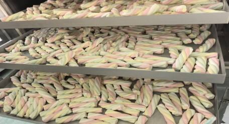 Breaking the Deadlock with Customized Equipment! Yinuo Food Machinery Helps Snack Brands Create Blockbusters of Freeze-Dried Marshmallows