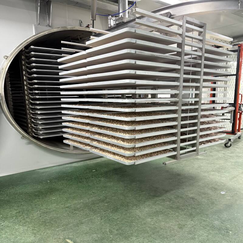Advanced Temperature Control System