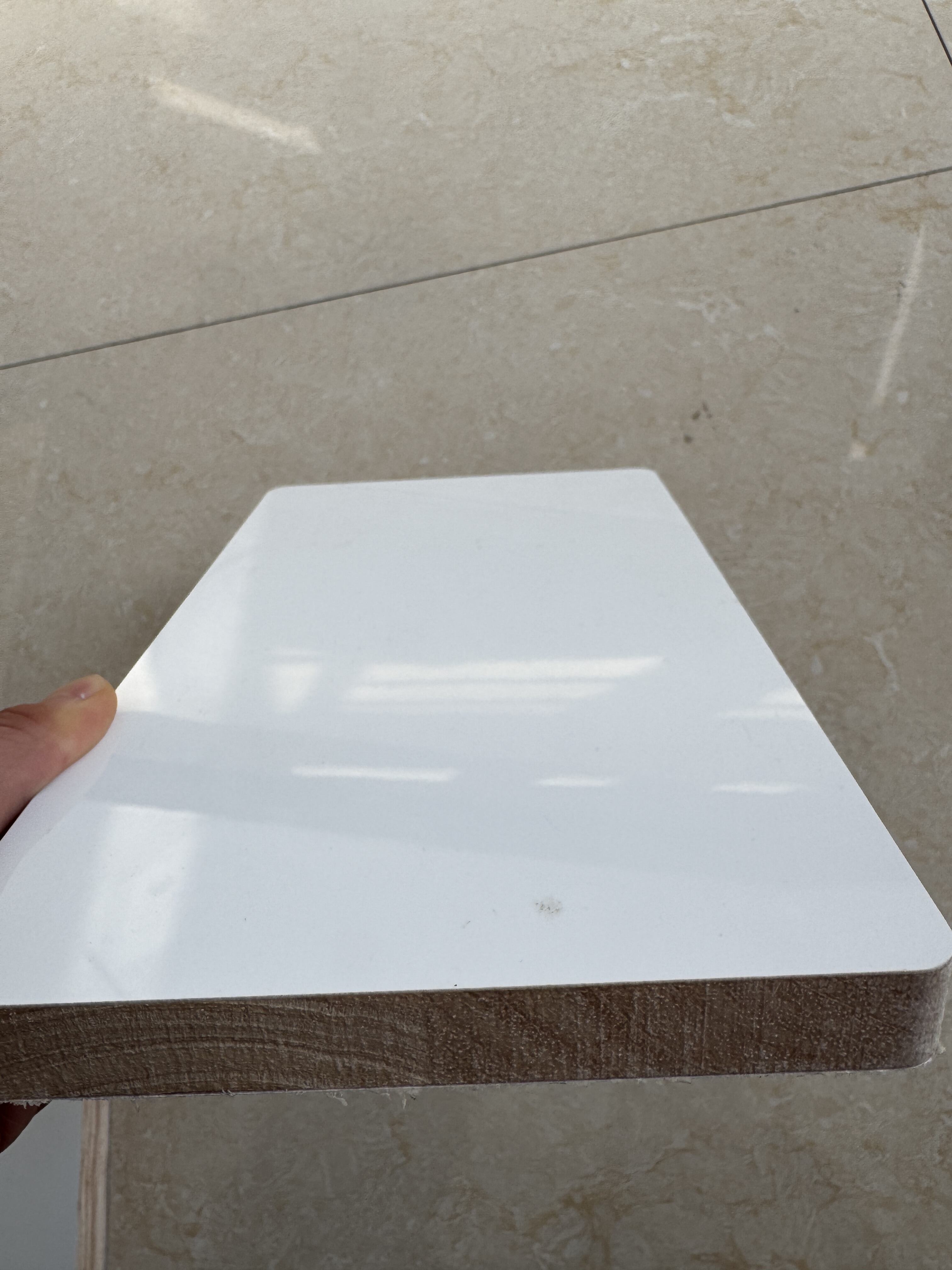 Environmental Sustainability and Cost Efficiency