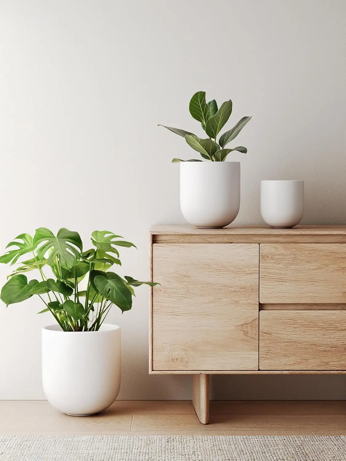 orchid containers.webp