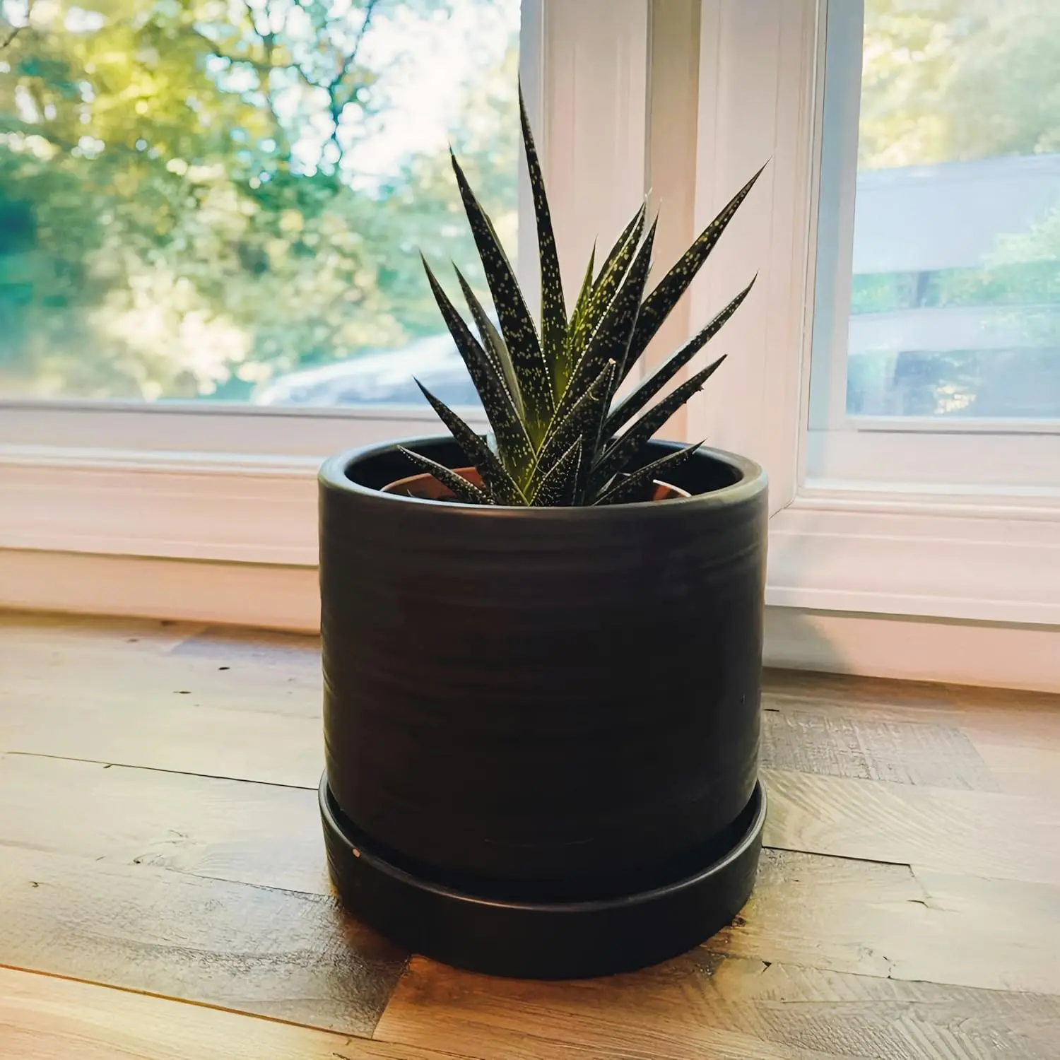 concrete garden pots.webp