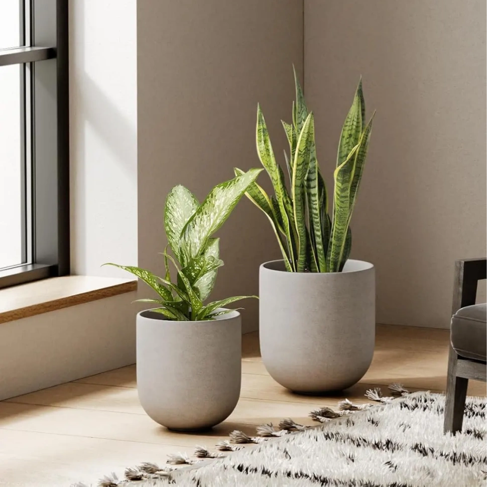 concrete flower pots