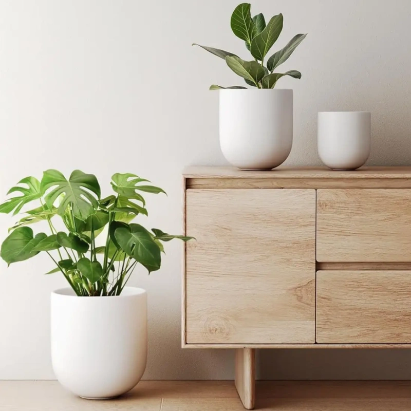 flower pots(732fae00f3).webp