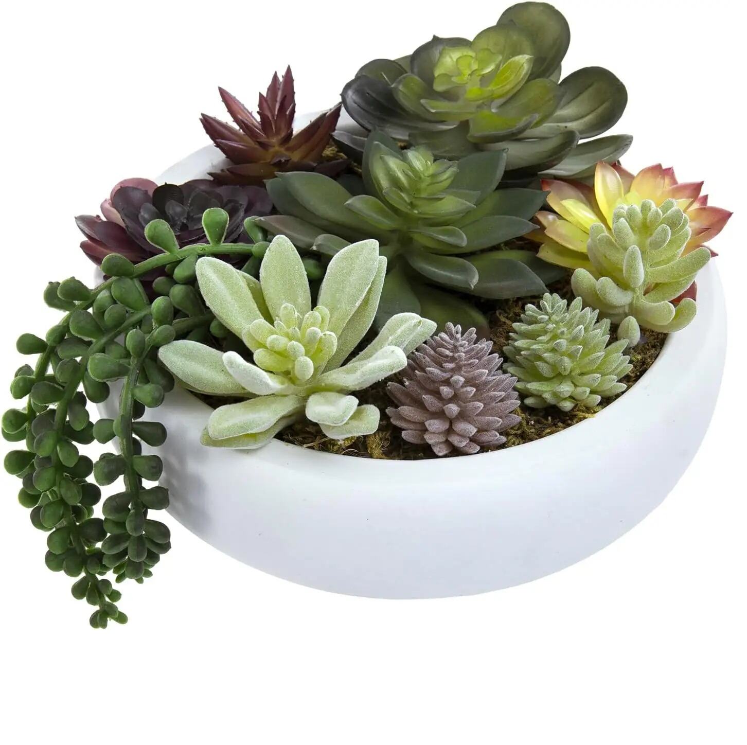 Custom Cactus Flower Plant Pots indoor Cement