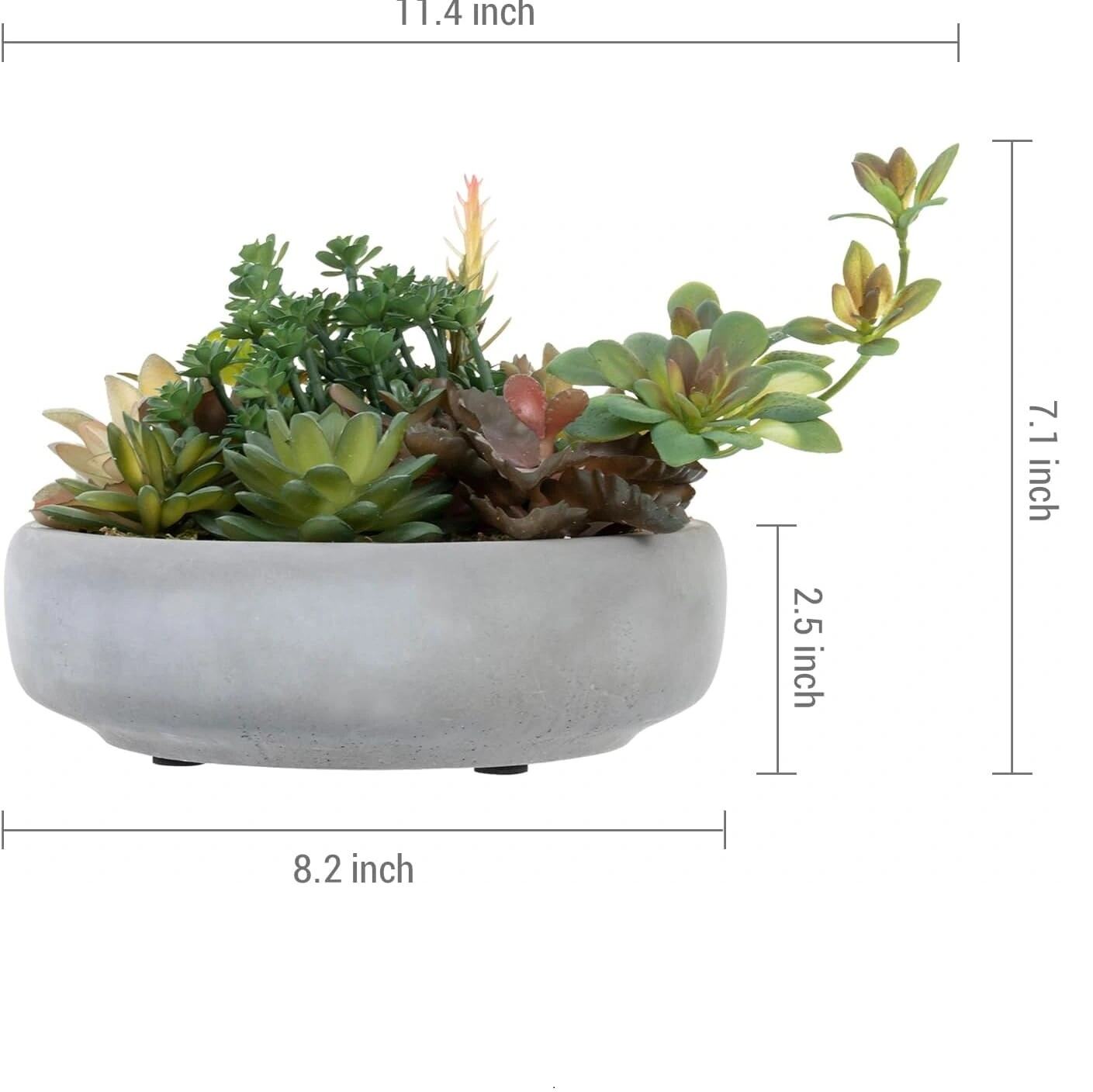 inside plant pots.jpg