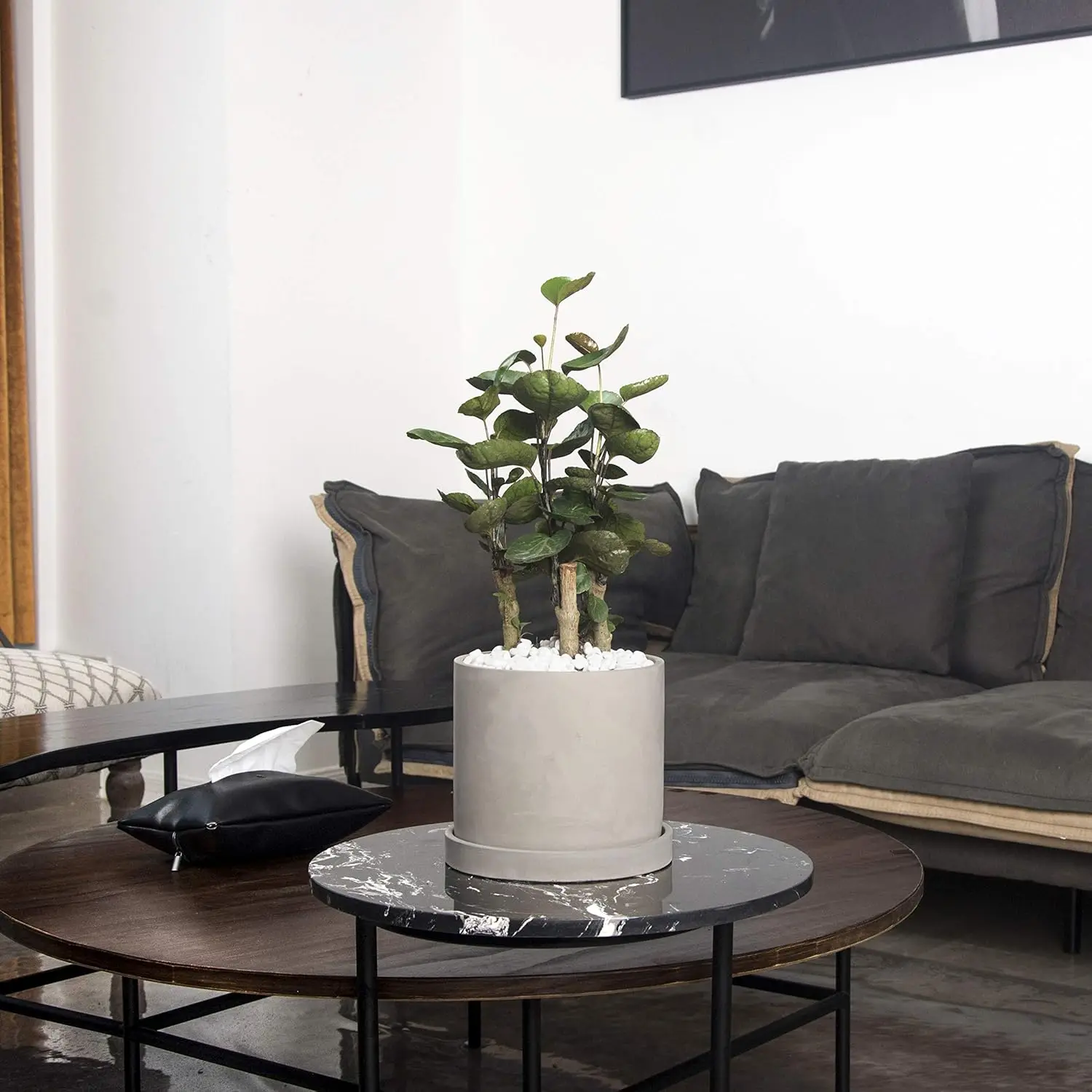 cement pots for plants.webp