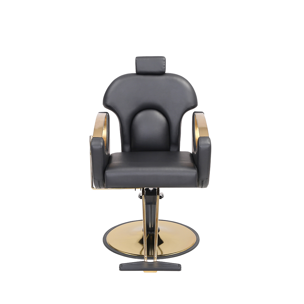 Salon Chair HZ8765BK