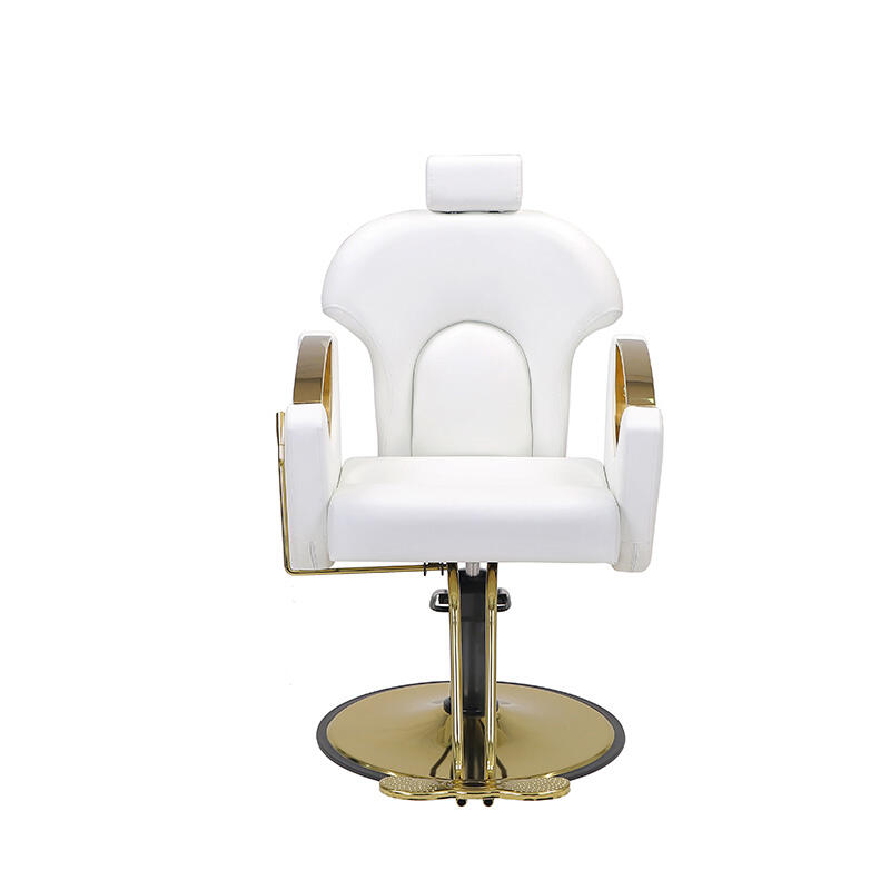 Salon Chair-HZ8765WG