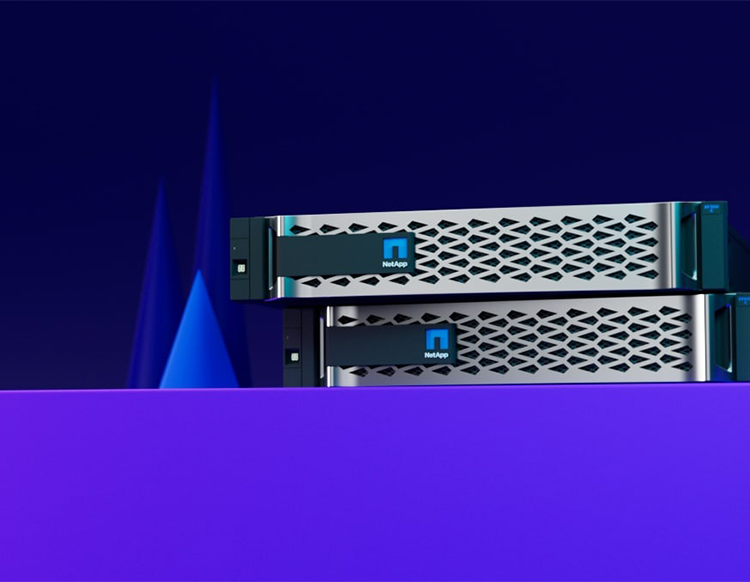 Netapp EF600 Storage | Netapp Storage
