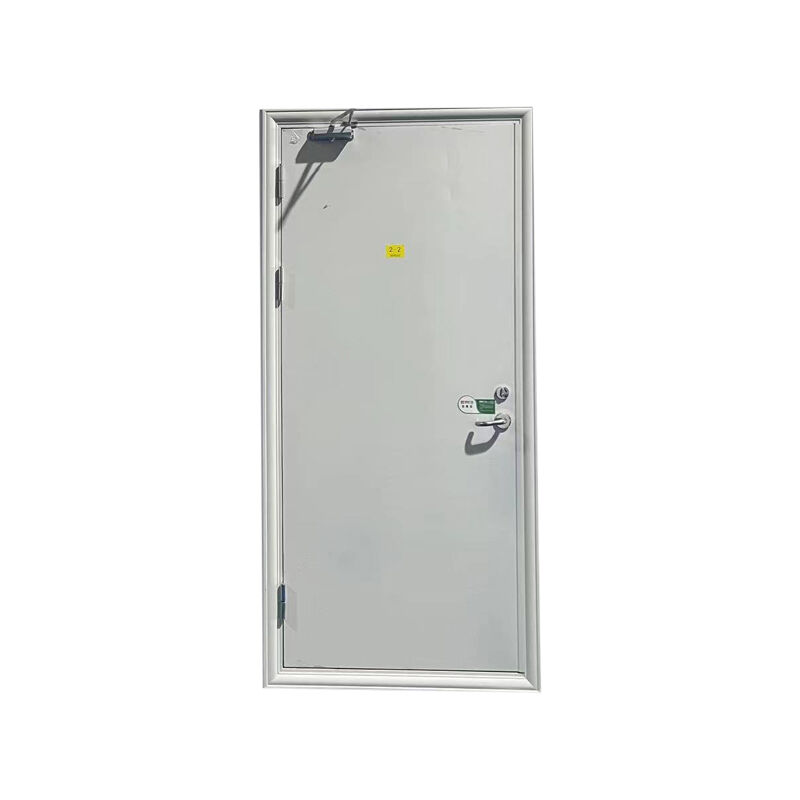 Best Steel Doors for Home: Reviews of Top Brands and Models