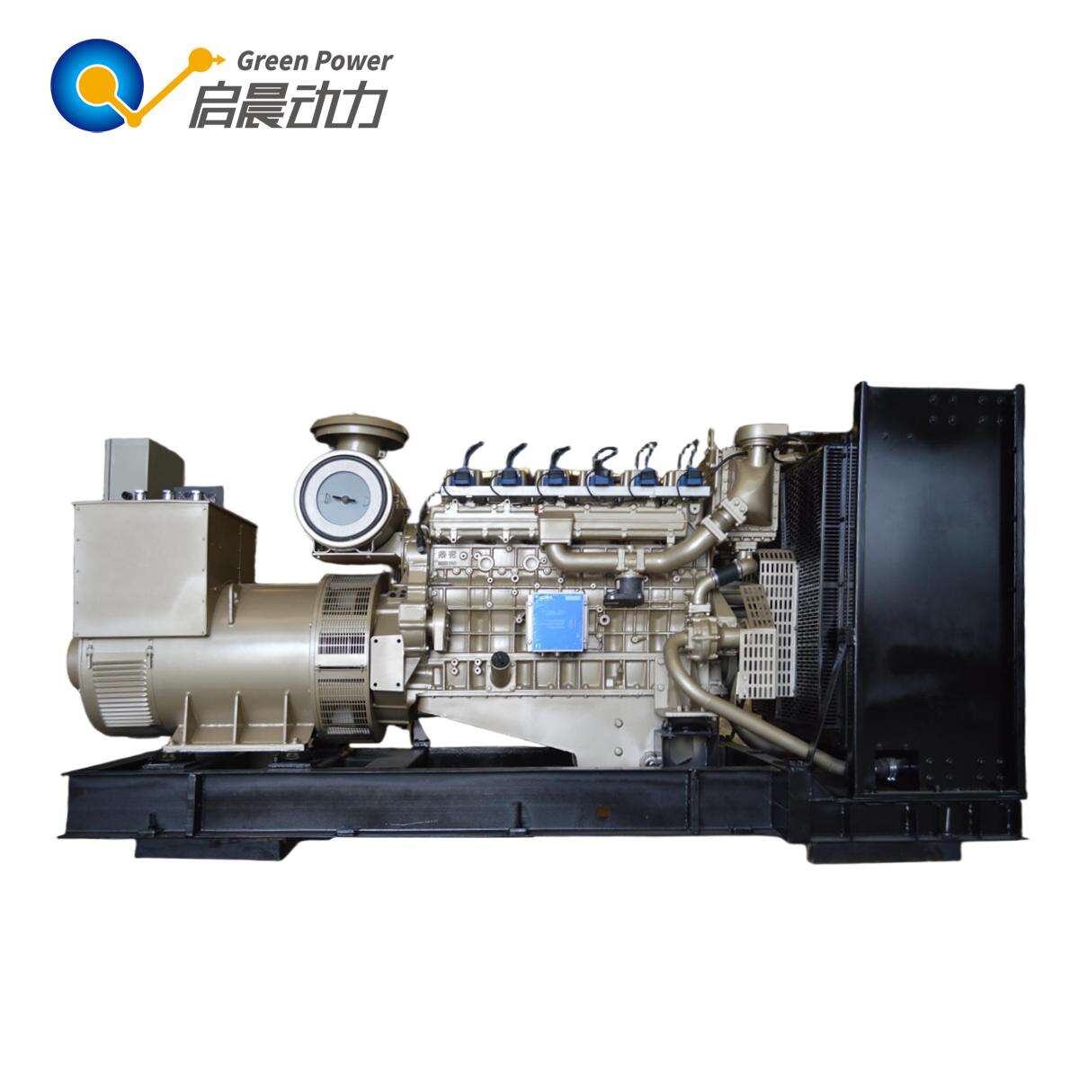 Biogas Generator Sets