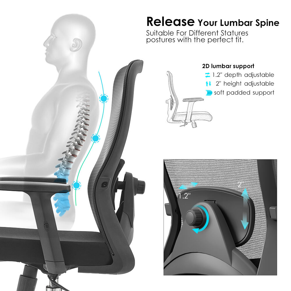 Sammy-M(2D-lumbar-support)-(2).jpg