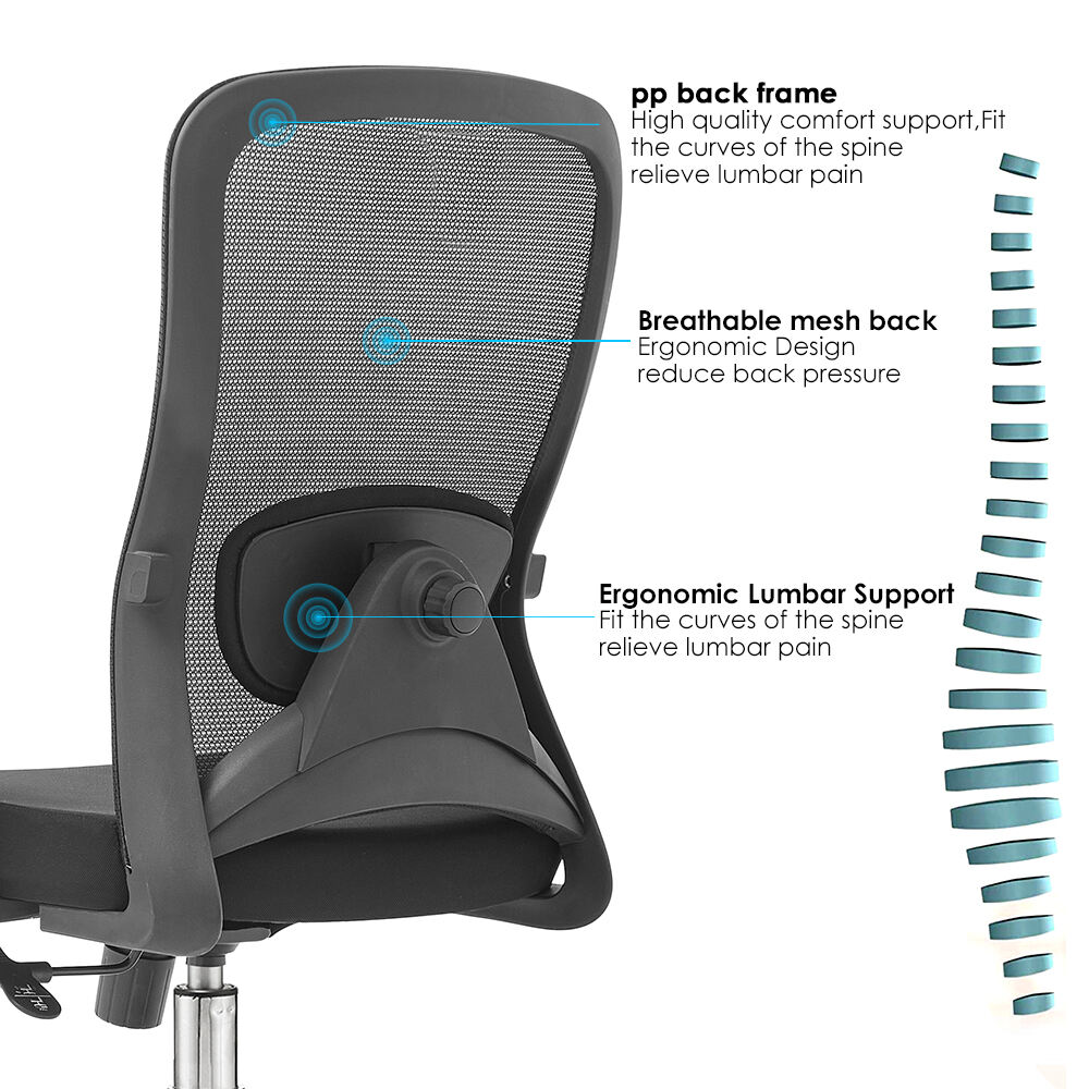 Sammy-M(2D-lumbar-support)-(1).jpg