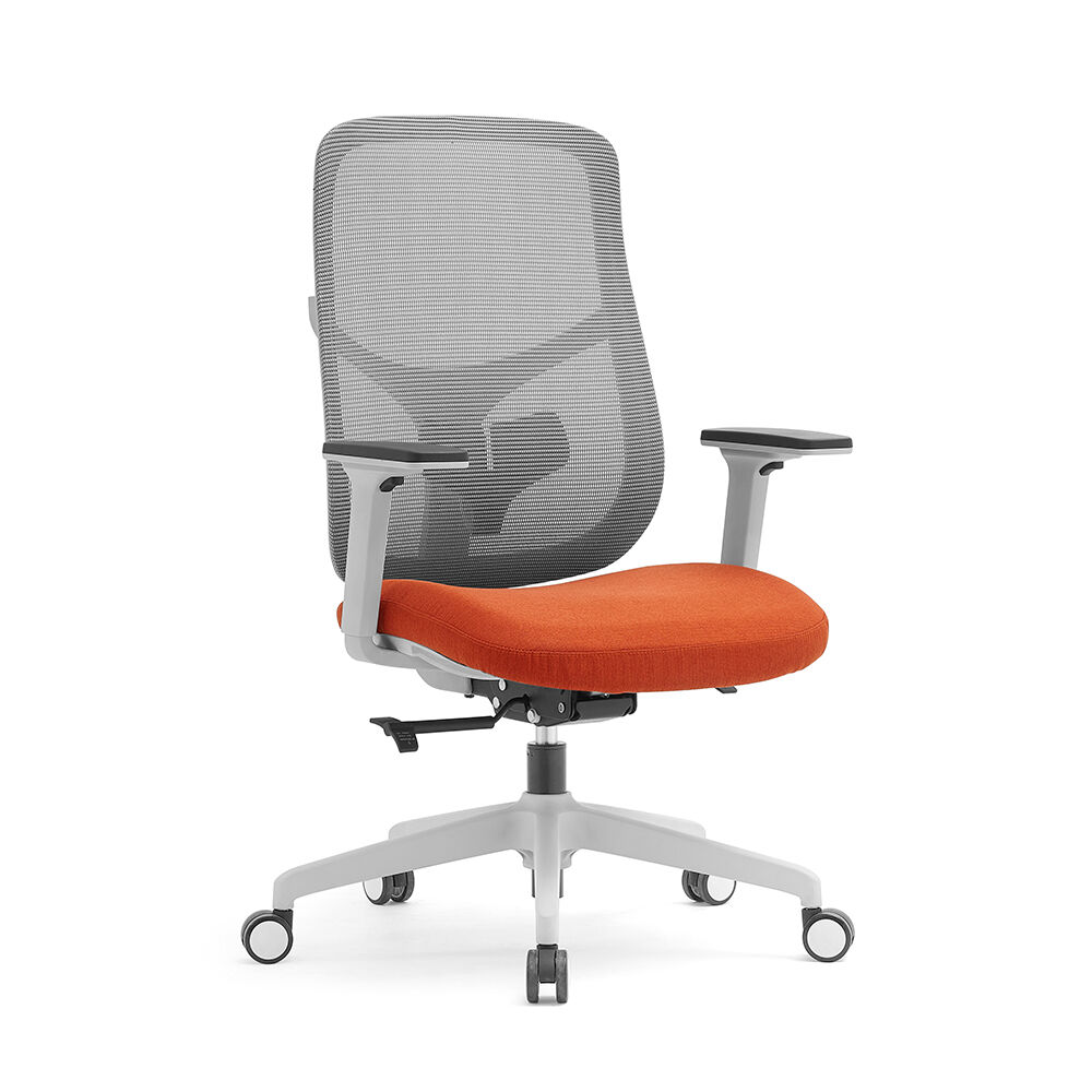 NOEL Moda-MG High-Back Office Chair – Superior Support for Executive ...