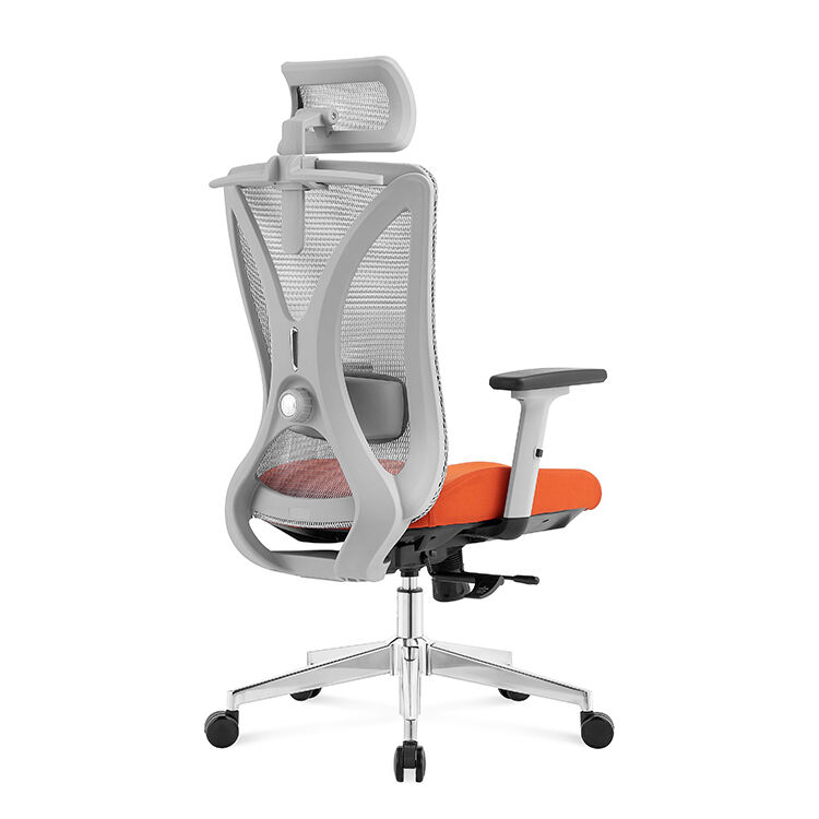 Prima-HG (3D + seat sliding)