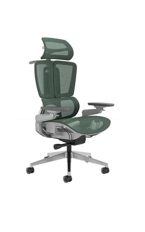 Ergonomic Chairs