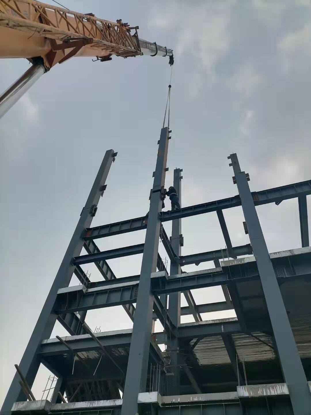 Aanpasbare staalfotoringhuiskits vir elke begroting