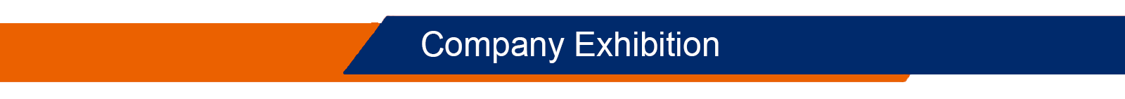 Company Exhibition.png