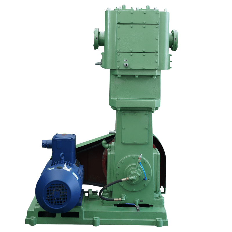 WLW Series vertical dry reciprocating vacuum pumps-100B