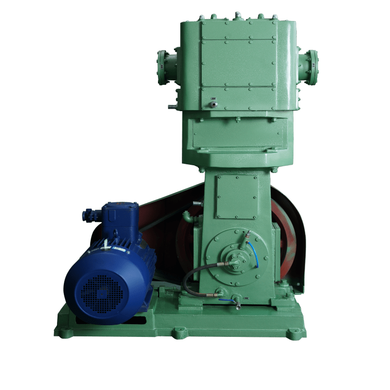 WLW Series vertical dry reciprocating vacuum pumps-150B