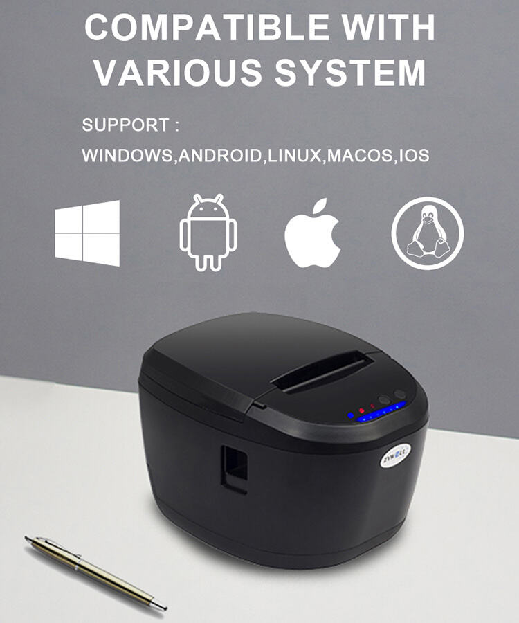 photobank - 2026-02-28T144707.373.jpg