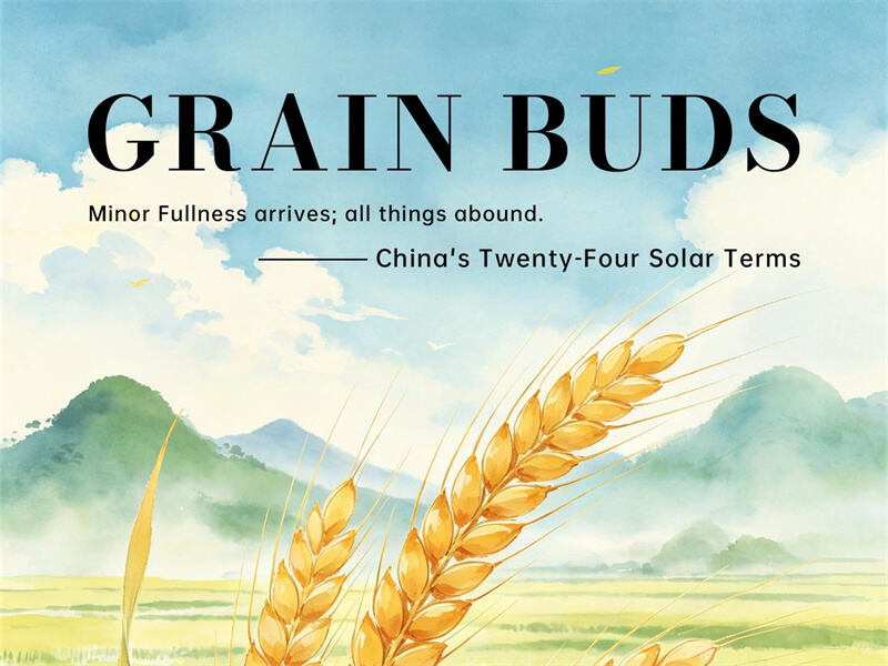 Chinese Twenty-Four Solar Terms—XiaoMan Minor Fullness arrives; all things abound.