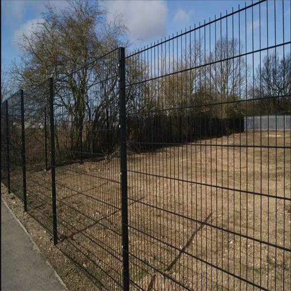 Twin Wire Fence
