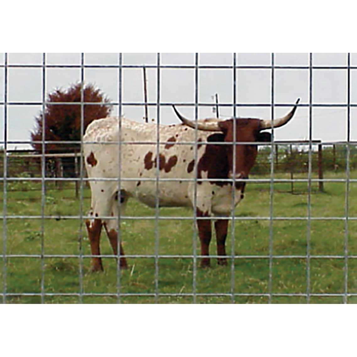 Commitment to Sustainability