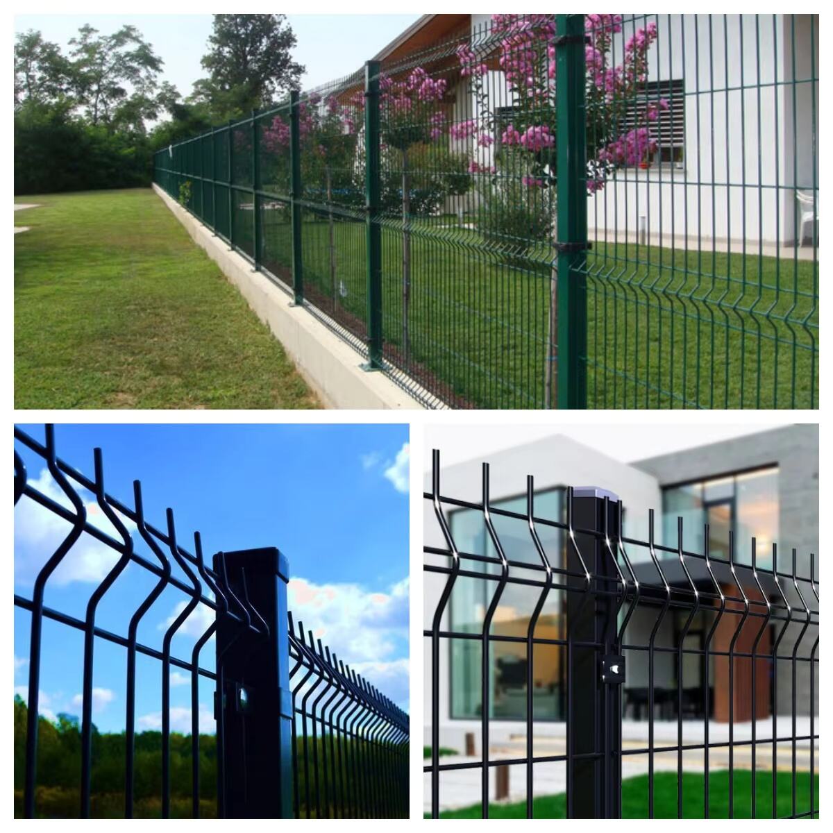 Experienced Team of Professionals