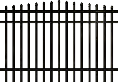 11.png
