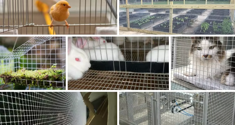 Environmentally Friendly Practices