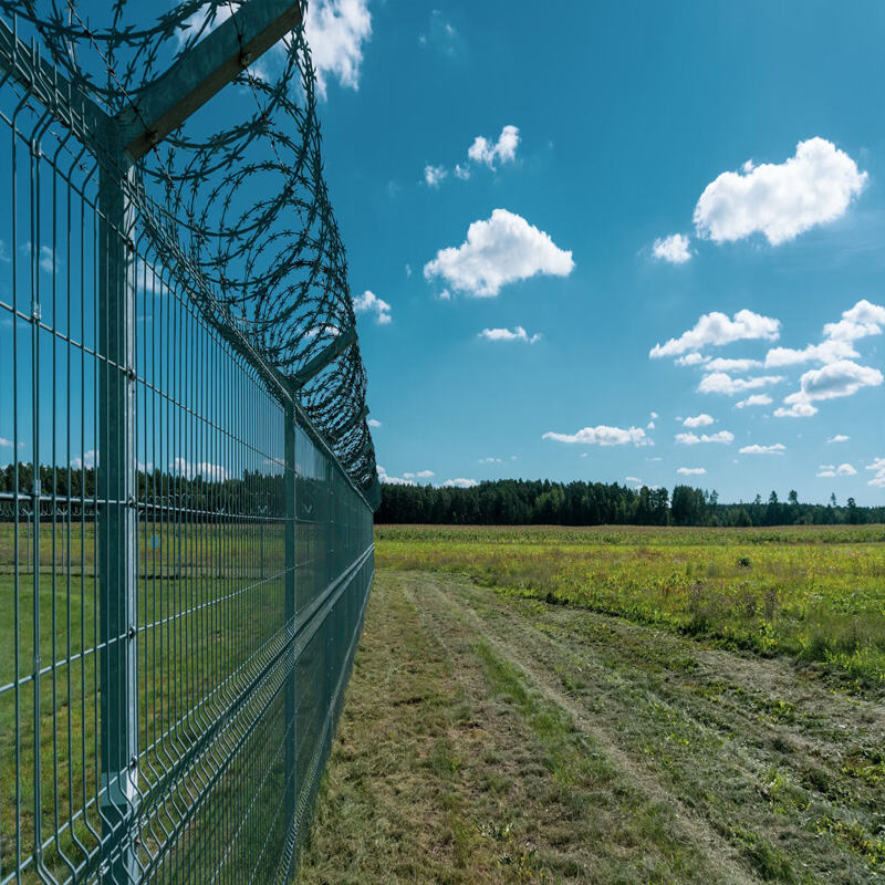 Eco-Friendly Practices