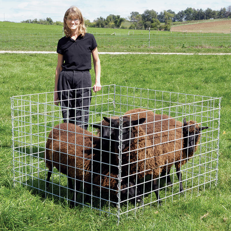  Premium Wire Panels for Fence Solutions