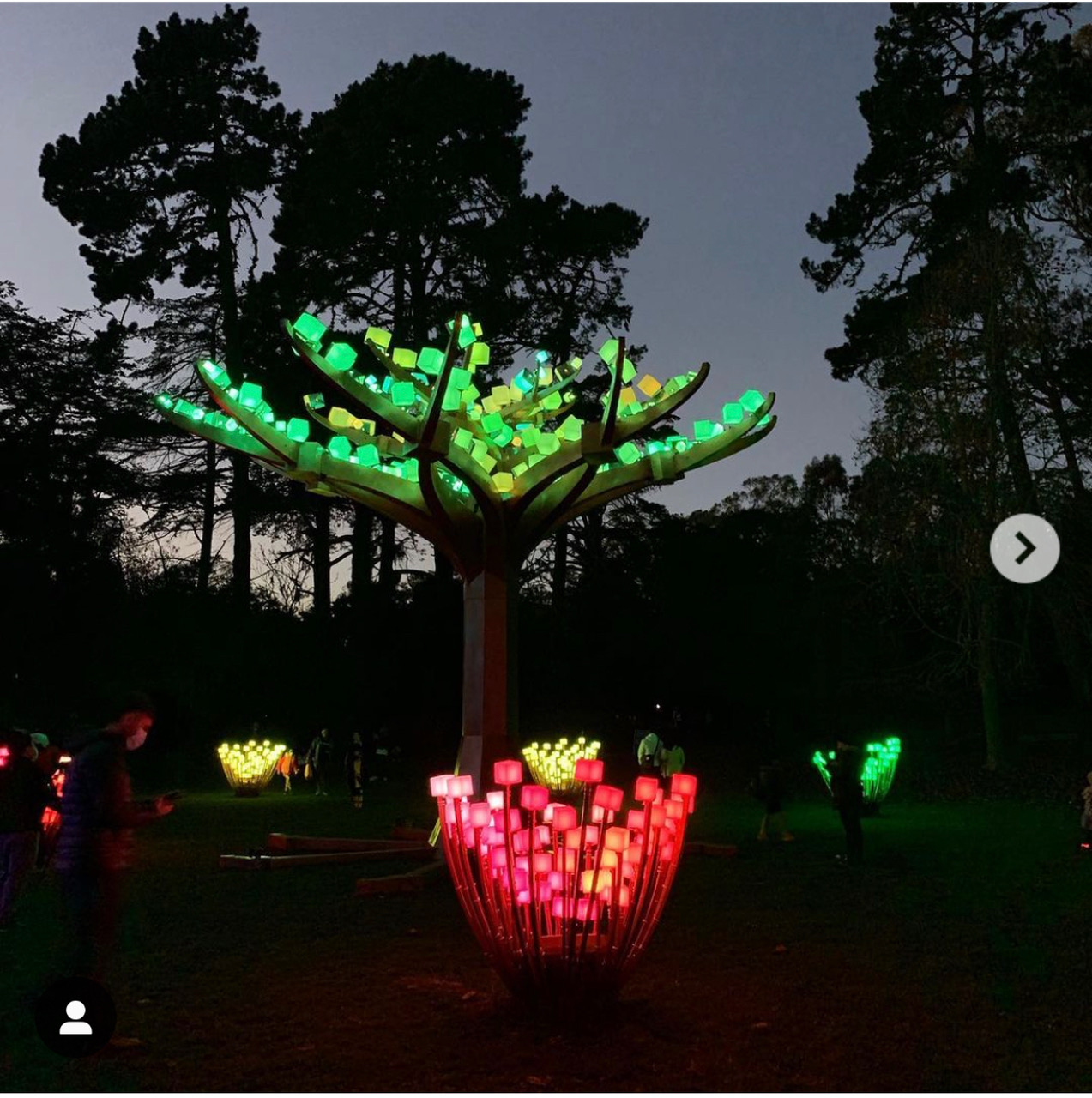 Light Forest, Redefining Park Nightscapes