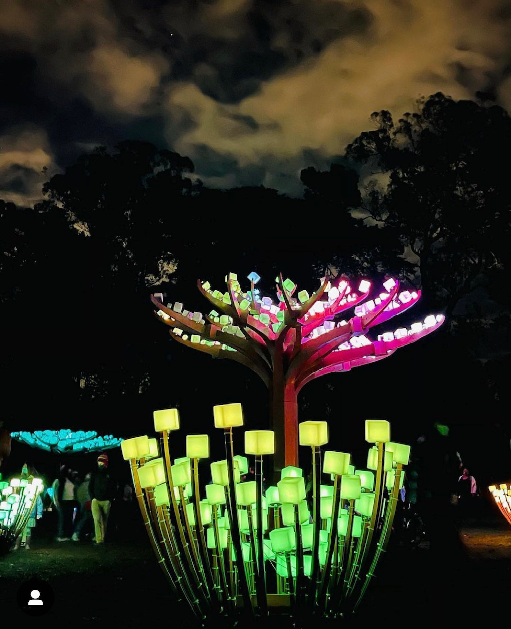 Light Forest, Redefining Park Nightscapes